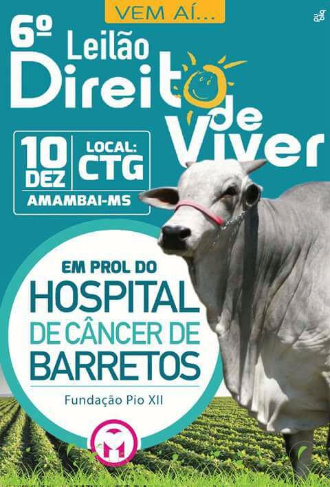 Agenda de eventos para Amambai e região