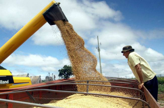 Frete de grãos deverá subir menos em 2012