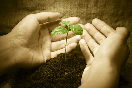 5 de Junho - Dia do Mundial do Meio Ambiente e da Ecologia