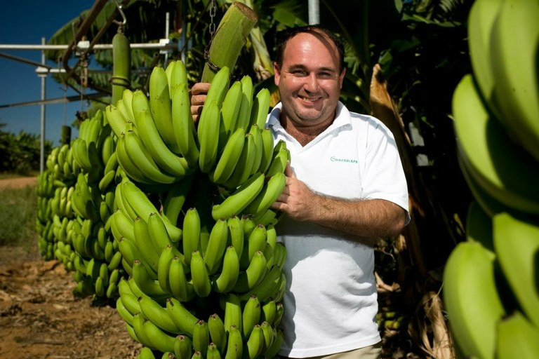 Primeiros seis meses do ano-agrícola 2013/2014 foram de bom desempenho para os agricultores familiares