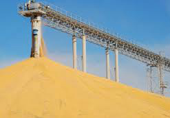 Valor Bruto de Produção das lavouras deve crescer mais de 16% este ano Valor Bruto de Produção das lavouras deve crescer mais de 16% este ano