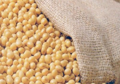 Abiove eleva em 1,62% estimativa de processamento de soja