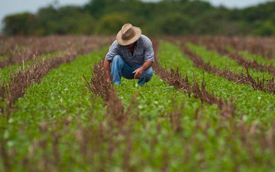Produtores rurais atingidos por estiagem podem renegociar dívidas Foto: Divulgação