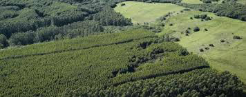 Mapa contribui para uma agricultura sustentável