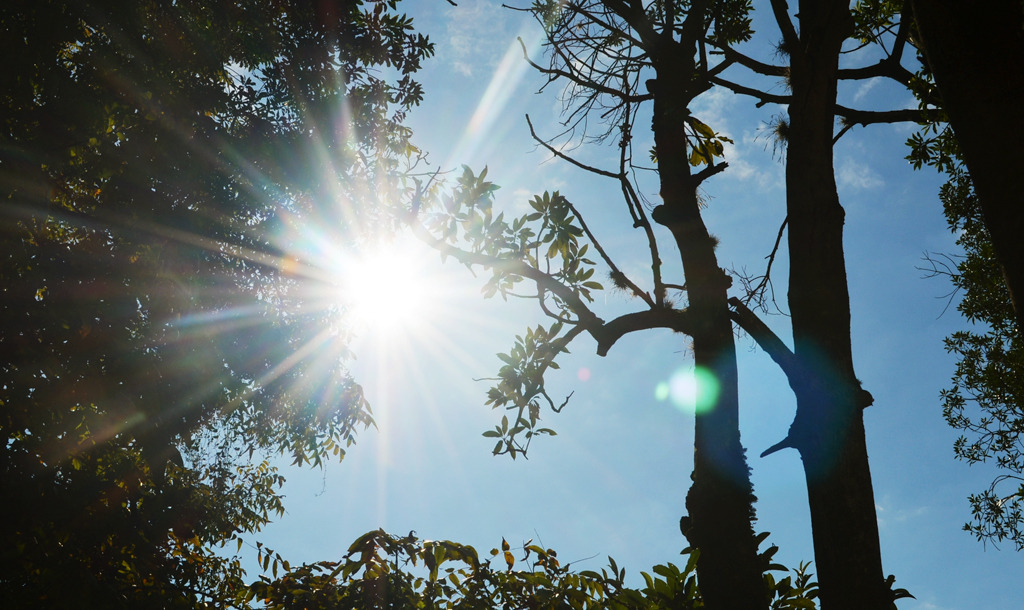 Ponta Porã registra temperatura de 5,8ºC, mas Inmet prevê volta do calor