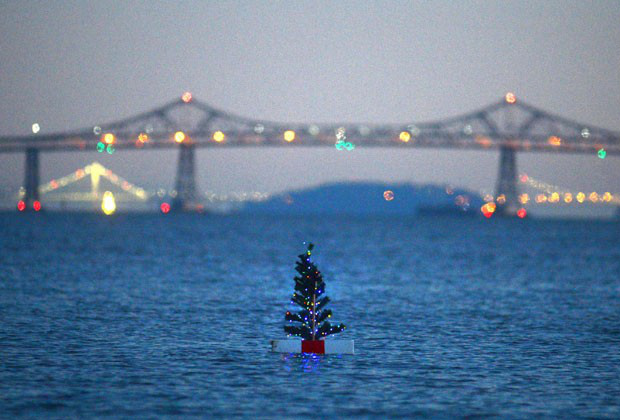 Árvore de Natal misteriosa flutua na Baía de San Pablo, na Califórnia (Foto: Marin Independent Journal, Frankie Frost/AP)