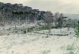 Inmet frustra turistas e diz que não vai nevar esta noite no Sul São José dos Ausentes (RS)