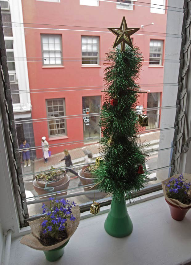 Lista traz árvores de Natal mais cara, mais velha e outras extravagâncias