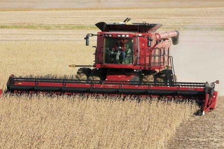 Soja: Mercado doméstico segue aquecido Soja: Mercado doméstico segue aquecido