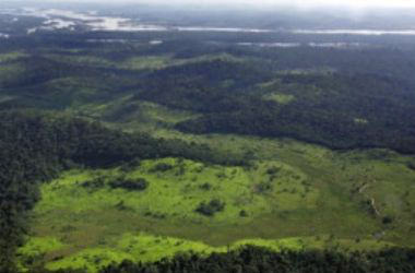 Senado aprova projeto do novo Código Florestal