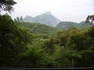 Nova edição do maior guia de viagens lista mil aventuras ao redor do planeta e faz ranking dos melhores locais, as trilhas do parque carioca estão acima das de outros lugares como Londres, Cidade do Cabo, Sidney e Vancouver (Abrivio/Wikimedia Commons