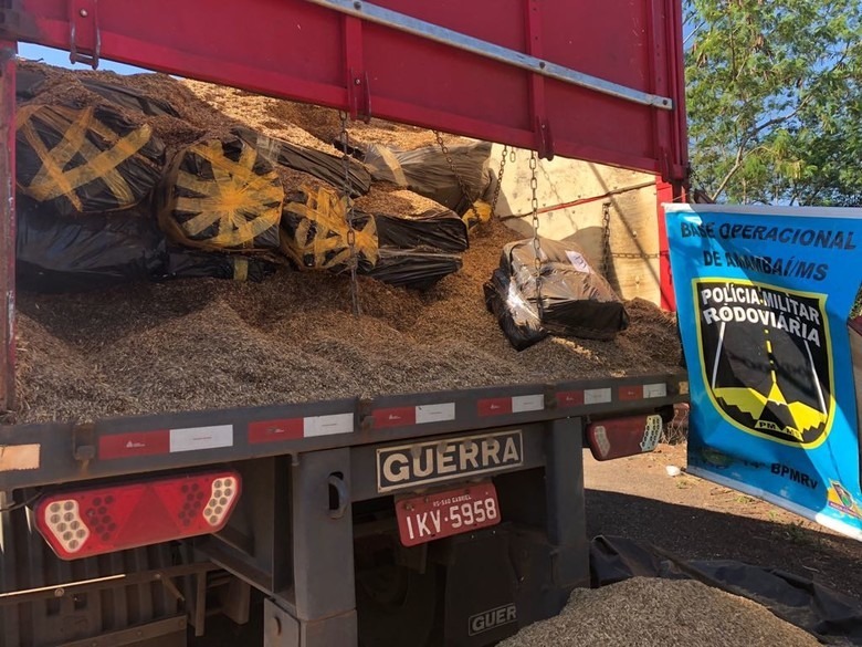 Mais de 2,5t de maconha é apreendida sob carga de aveia que viria para Amambai