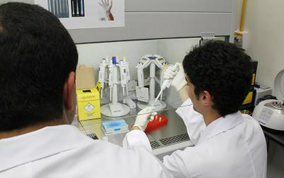 Termina no fim do mês prazo para inscrição no Ciência sem Fronteiras