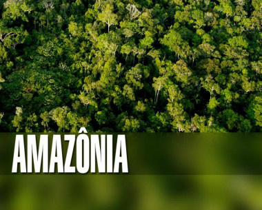5 de setembro - Dia da Amazônia