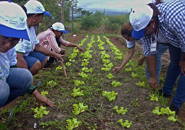 Curso de Horticultura Orgânica realizada no Assentamento 7 de Setembro em Terenos / Foto: Assessoria