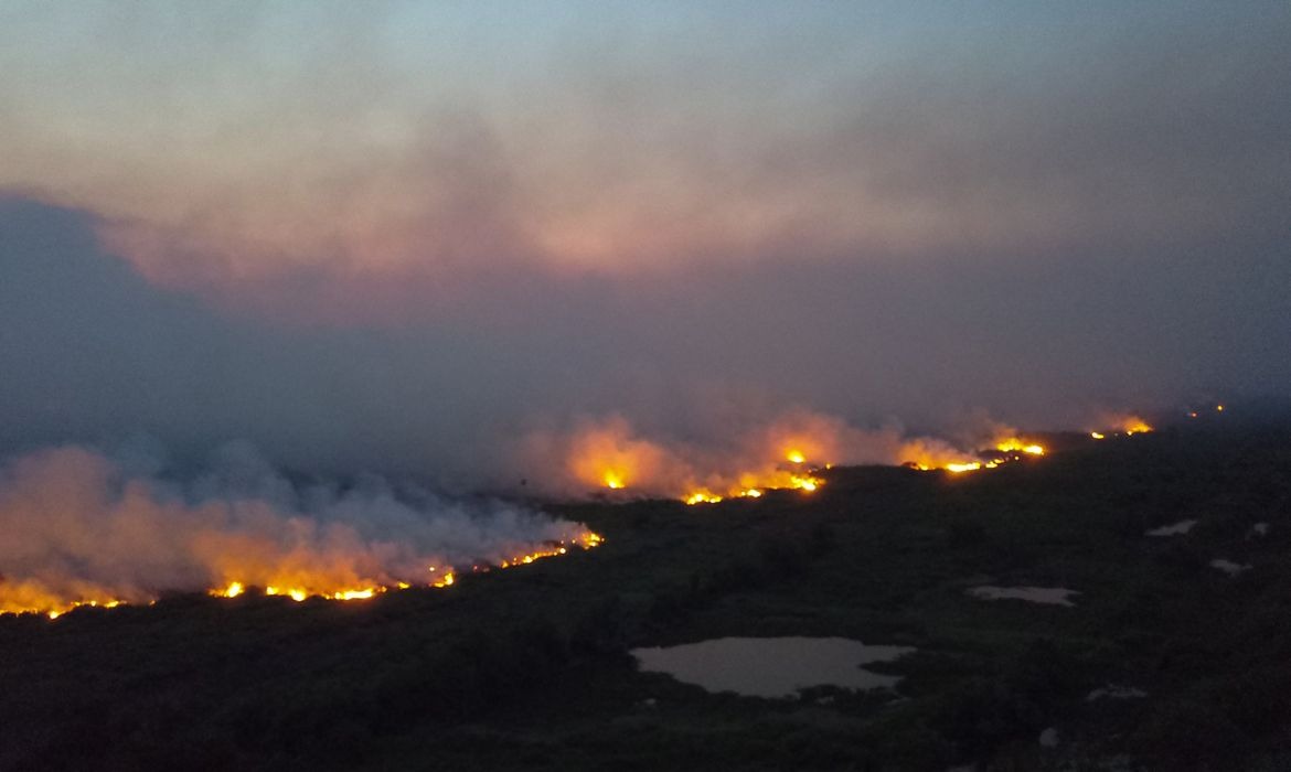 Foto: Diário de Goiás