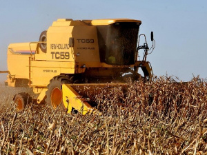 Dilma: produção de grãos este ano será a maior da história