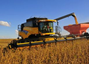 Na avaliação da Agroconsult, chuvas melhoraram as condições das lavouras em fevereiro / Foto: Tadeu Vilani/Ed. Globo