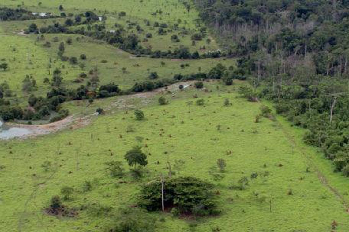 Começa hoje prazo para entrega da declaração de propriedade rural MMA/Arquivo