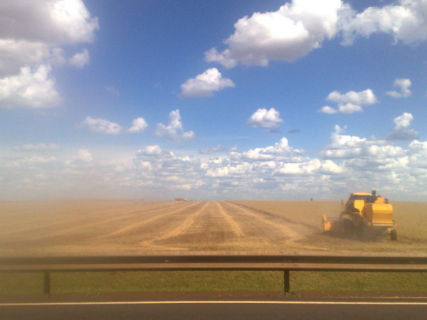 Brasil pode colher 82 milhões de toneladas de soja na Safra 2012/2013 Brasil pode colher 82 milhões de toneladas de soja na Safra 2012/2013