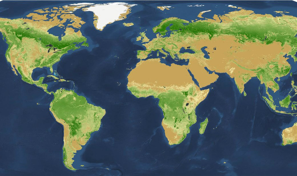 O mapa que representa a densidade de árvores no mundo com a escala de um pixel para quilometro quadrado