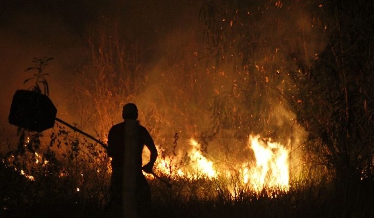 Atear fogo em terreno baldio é crime e multa pode chegar a quase R$ 10 mil Foto: Chico Ribeiro