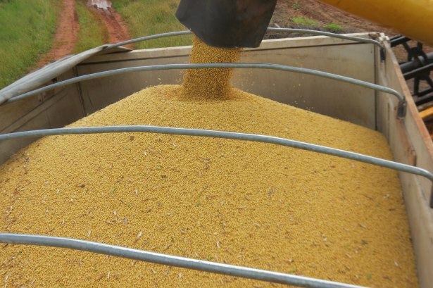 Em MS exportação de soja do 1º semestre supera todo ano de 2012