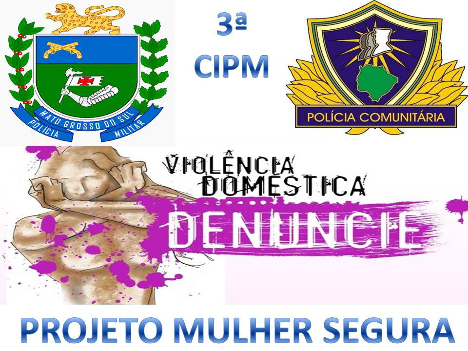 O sistema será apresentado para o comando do estado, com o intuito de que seja instalado em todo o Mato Grosso do Sul / Foto: Divulgação