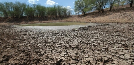Governo baiano articula medidas para minimizar maior seca dos últimos 30 anos