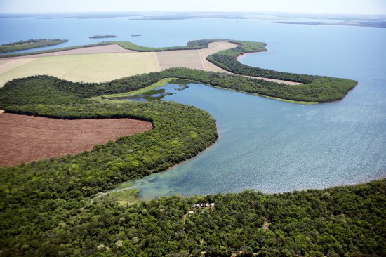 Programa socioambiental desenvolvido no interior do Paraná garante ao Brasil uma premiação inédita
