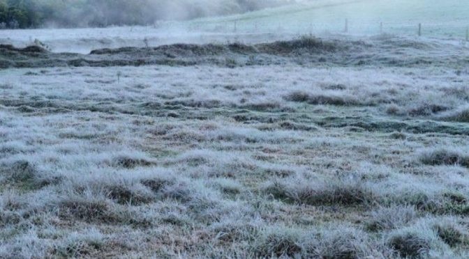Meteorologia prevê geada e baixas temperaturas para região sudoeste Meteorologia prevê geada e baixas temperaturas para região sudoeste