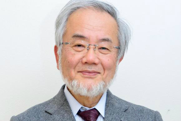 O cientista japonês Yoshinori Ohsumi ganhou o Prêmio Nobel de Medicina de 2016 pela sua descoberta do mecanismo de autofagia EPA/TOKYO INSTITUTE OF TECHNOLOGY/HANDOUT MANDATORY CREDIT HANDOUT EDITORIAL USE ONLY/NO SALESTOKYO INSTITUTE OF TECHNOLOGY/HANDOUT