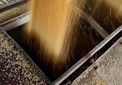 Governo intervém no mercado agrícola para garantir o preço mínimo ao produtor.