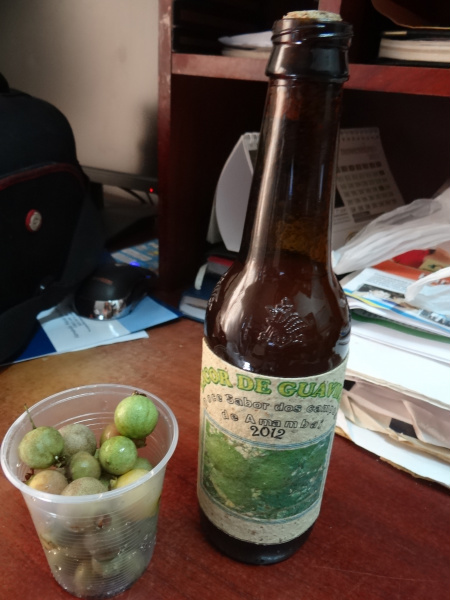 Licor de guavira produzido pelo professor Edirler Vieira. 