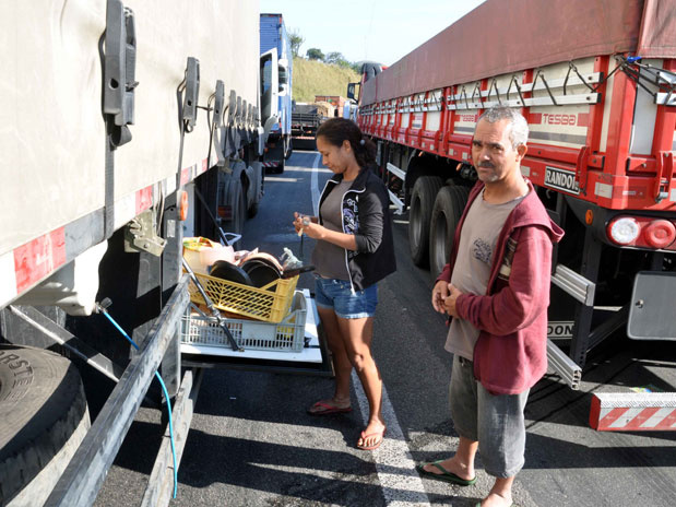Greve de caminhoneiros prejudica criação de frangos