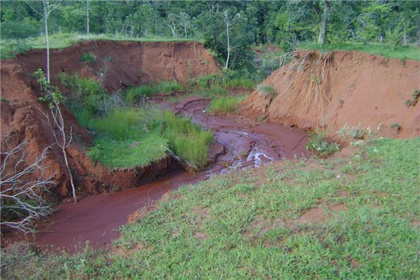 PMA autua três proprietários rurais em R$ 255 mil por erosões em fazendas