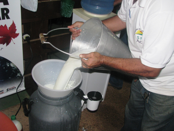 Com entressafra pressionada, preços do leite seguem em queda