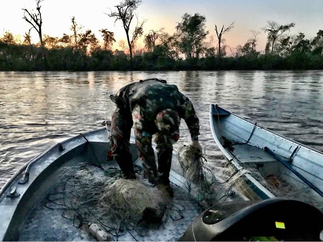 PMA prende e autua em R$ 4,8 pescador profissional pescando no rio Amambai