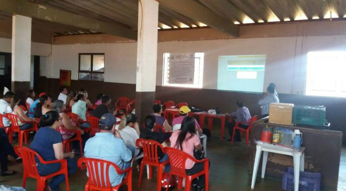 Agricultores aderem ao uso de aplicativo em celulares para gerenciar as finanças Foto: Noticias MS