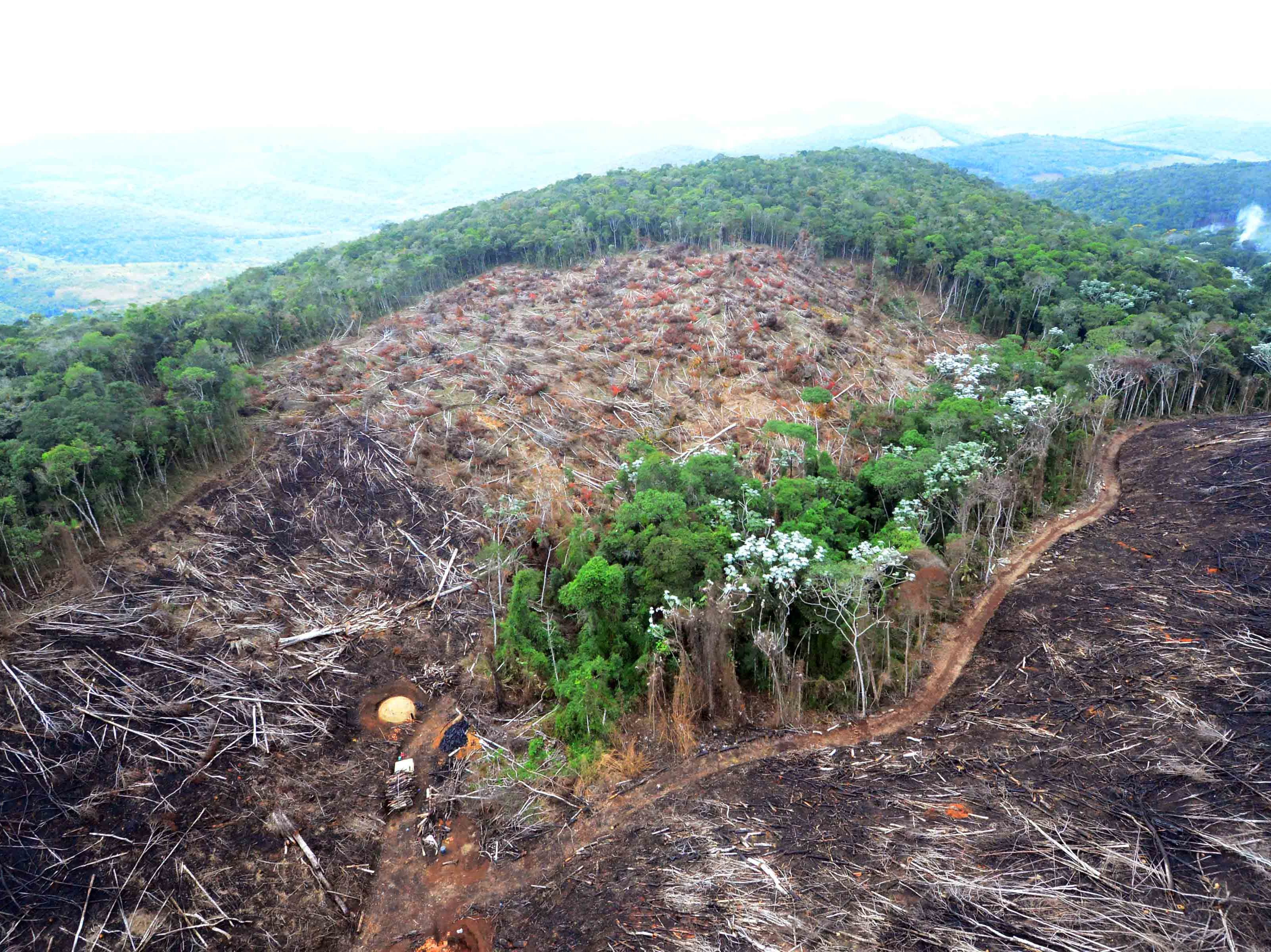 Em 2019, satélite Brasil-China vai monitorar desmatamentos