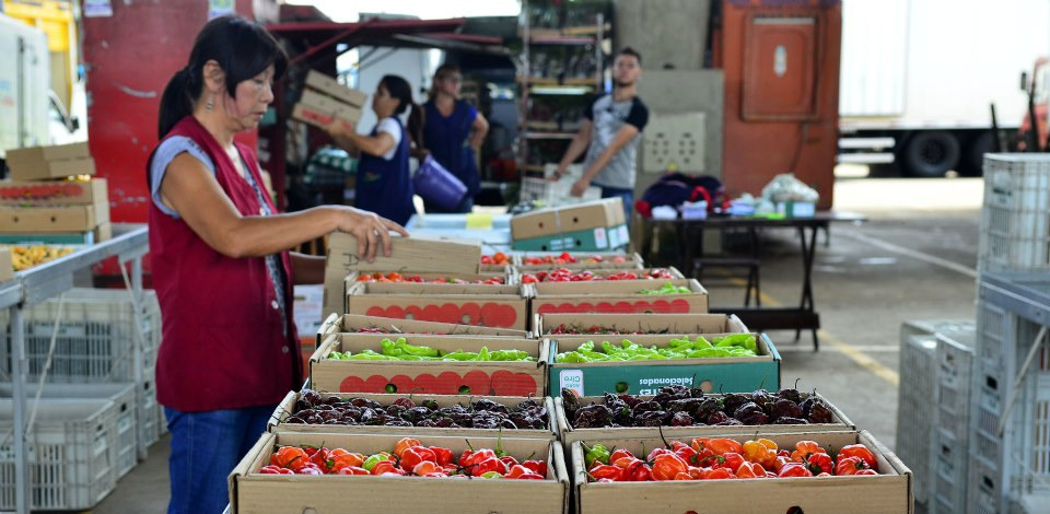 Combate ao desperdício de alimentos é desafio do Brasil e do mundo