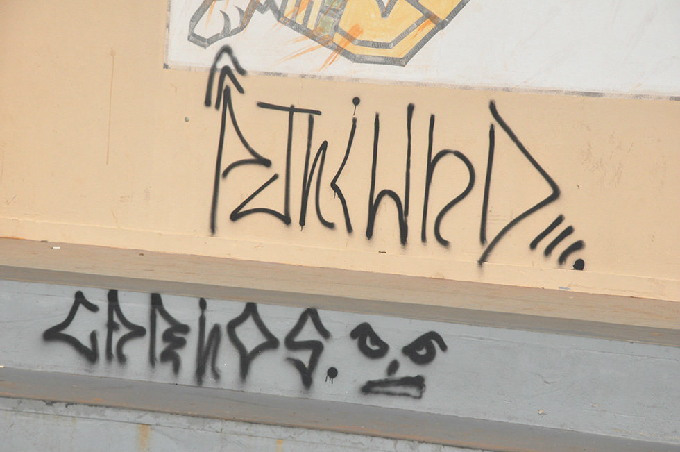 Em qualquer observação de ataque ou depredação dos bens de uso coletivo, o cidadão pode entrar em contato através da ouvidoria online, disponível no site amambai.ms.gov.br ou pelo telefone (67) 3481-7400.