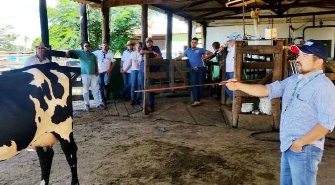 Cursos de Irrigação e Avaliação Zootécnica prepara técnicos da Agraer e da Sepaf Cursos de Irrigação e Avaliação Zootécnica prepara técnicos da Agraer e da Sepaf