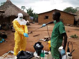 Ebola: Austrália vai suspender vistos para países afetados na África Ocidental