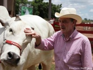 Rubens Catenacci, dono da Fazenda 3R, foi destacado na categoria proteína animal.(Foto: Denilson Rodrigues / divulgação)