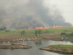 Com baixa umidade e temperatturas muito altas, o fogo de áreas sem cultivo pode se espalhar pelas lavouras