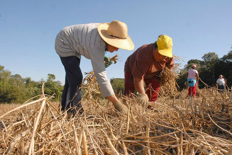 Trabalhador rural poderá receber casa e comida no lugar do salário Jornada de trabalho no campo pode chegar a 12 horas em 18 dias seguidos sem descansoFoto: Divulgação