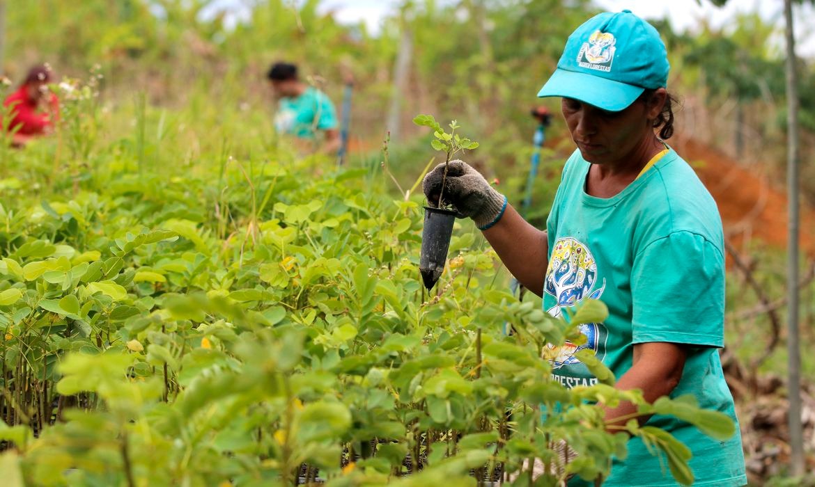 Nordeste teve maior índice de sindicalização em 2019 © Tânia Rêgo/Agência Brasil