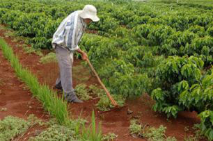 Produtor rural condenado por trabalho escravo pode ficar sem crédito