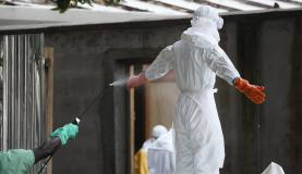 Ebola: Japão está pronto a fornecer medicamento experimental